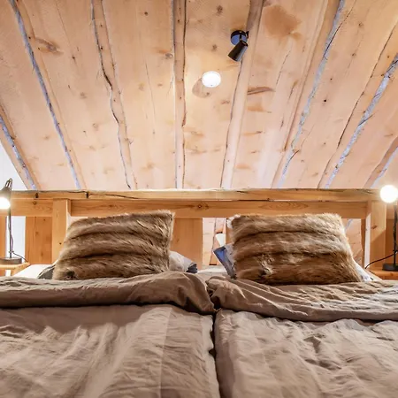 Apartmán Log Oula C *