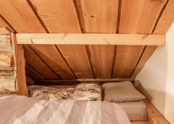 Log Oula C Apartamento